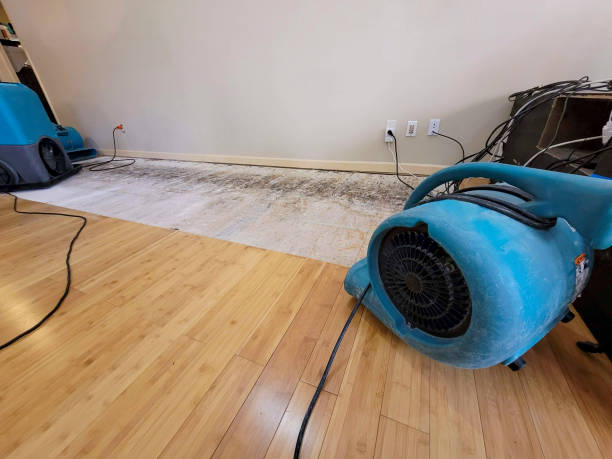 Professional Structural Drying technician working in Bend, OR